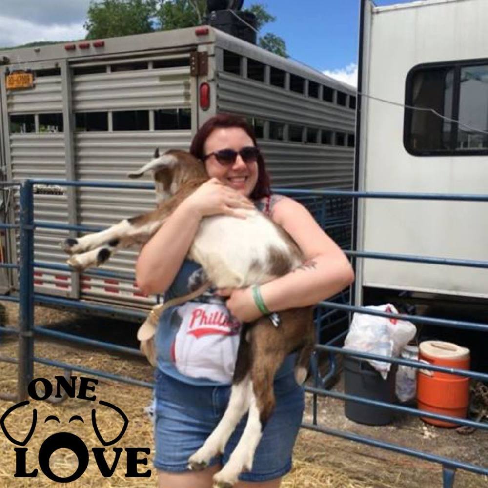 Meet your Posher, Misty